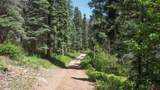 504 Weminuche Road - Photo 12