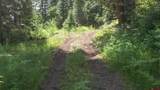 504 Weminuche Road - Photo 13