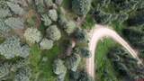 504 Weminuche Road - Photo 45