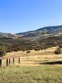 TBD Hanks Valley Road - Photo 24
