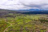 TBD Hanks Valley Road - Photo 13