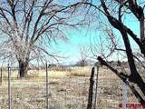 12502 Hwy 145 - Photo 24