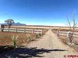 12502 Hwy 145 - Photo 8