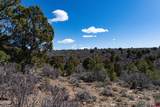 TBDWP County Line Rd - Photo 14