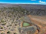 TBDWP County Line Rd - Photo 27