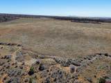 TBDWP County Line Rd - Photo 29