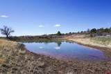 TBDWP County Line Rd - Photo 3