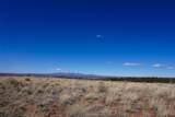 TBDWP County Line Rd - Photo 32
