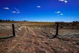 TBDWP County Line Rd - Photo 34