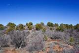 TBDWP County Line Rd - Photo 37