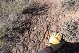 TBDWP County Line Rd - Photo 38