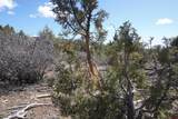 TBDWP County Line Rd - Photo 39