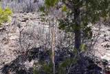 TBDWP County Line Rd - Photo 41