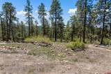 2511 Taylor Ranch Road - Photo 10