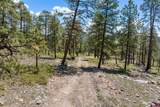2511 Taylor Ranch Road - Photo 11