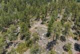 2511 Taylor Ranch Road - Photo 14