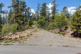 2511 Taylor Ranch Road - Photo 6