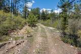 2511 Taylor Ranch Road - Photo 8