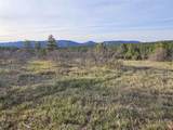 1963 County Road 125 - Photo 6