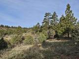 1963 County Road 125 - Photo 7