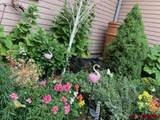 25 Perins Vista - Photo 45