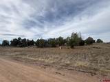 2543 Wrangler Way - Photo 13