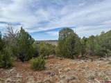 2543 Wrangler Way - Photo 8