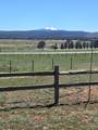 39678 Eagle Drive - Photo 40