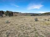 231 Bareback Lane - Photo 15
