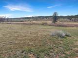 231 Bareback Lane - Photo 16