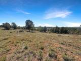 231 Bareback Lane - Photo 17