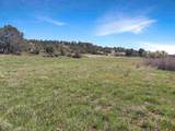 231 Bareback Lane - Photo 18