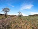 231 Bareback Lane - Photo 20