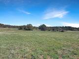 231 Bareback Lane - Photo 21