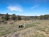 231 Bareback Lane - Photo 22