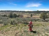 231 Bareback Lane - Photo 23