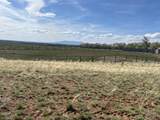 52257 Hwy 491 - Photo 32