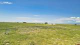 20520 County Road 59 - Photo 5