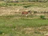 51781 County Road X - Photo 31