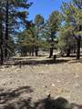 TBD Nordman Drive - Photo 9