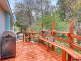 274 Deer Park - Photo 5