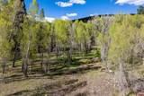 65 Pinestone Drive - Photo 29