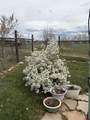 23 Cr 222 - Photo 43