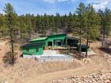 910 Red Canyon Trail - Photo 11