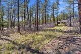 1096 Red Canyon Trail - Photo 10