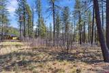 1096 Red Canyon Trail - Photo 11