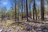 1096 Red Canyon Trail - Photo 13