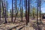 1096 Red Canyon Trail - Photo 15