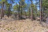 1096 Red Canyon Trail - Photo 8