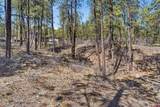 1096 Red Canyon Trail - Photo 9